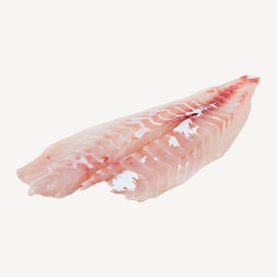Snapper Fillets