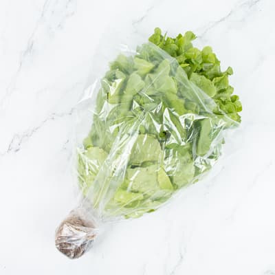 Fancy Lettuce