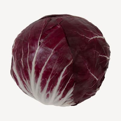 Radicchio