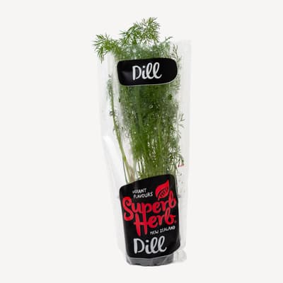 Superb Herb Dill Small