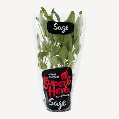 Superb Herb Sage Small