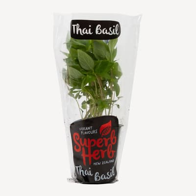 Superb Herb Basil Thai