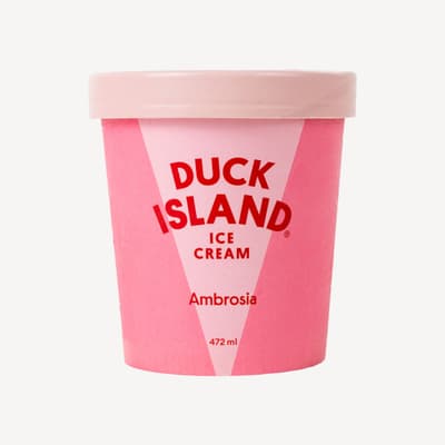 Duck Island Fruit Ambrosia Ice Cream 472ml