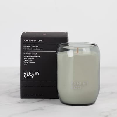 Ashley & Co Waxed Perfume - Blossom And Gilt Candle 310g