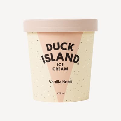 Duck Island Vanilla Ice Cream 472ml