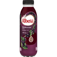 Blackcurrant Fruit Drink (500ml)