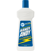 Rain Clean All Purpose Cleaner (750ml)