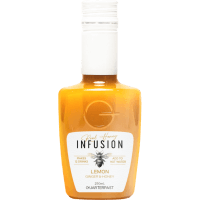 Lemon Ginger & Honey Real Honey Infusion (250ml)