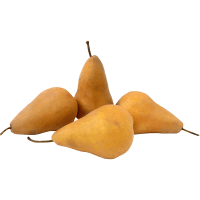 Bosc Beurre Pears (kg)