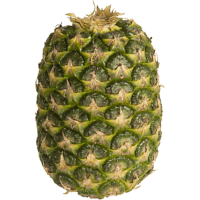 Gold Pineapple (1pk)
