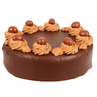 Choc Mud Cake (1pk)