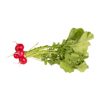 Bunched Red Radishes (ea)