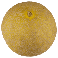 Yellow Honeydew Melon (ea)