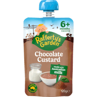 Chocolate Custard 6+ Months Smooth (120g)