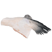 NZ Salmon Wings (Collars) (kg)