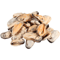 Frozen Greenshell Mussel Meat (kg)