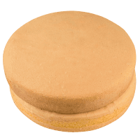 Round Double Sponge (2pk)