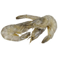Whole Raw Vannamei Prawns (Prefrozen) (kg)