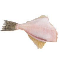 NZ Dressed Leather Jacket Creamfish (kg)