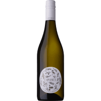 Sauvignon Blanc (1ea)