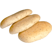Panini (3pk)