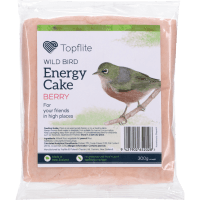 Berry Wild Bird Energy Cake (300g)