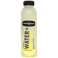 Water + Raw Lemon Juice (485ml)