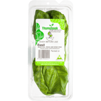 Fresh Basil (10g)