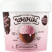 Coconut Boysenberry Frozen Dessert (480ml)