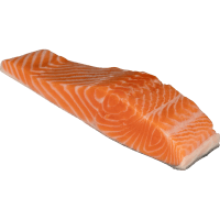 Fresh Salmon Fillet Pin Out (kg)