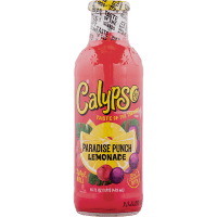 Paradise Punch Lemonade (473ml)