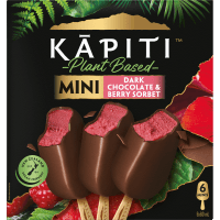 Dark Chocolate & Berries Sorbet (6 x 60ml)