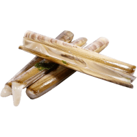 Whole Raw Razor Clams (1kg)