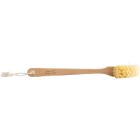 Wooden Dish Brush Cleaner (1pk)