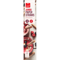 Jumbo Paper Straws (25pk)