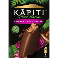 Plant Based Chocolate & Boysenberry Ice Cream (4 x 100ml)