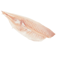 NZ Tarakihi Fillets (Pre Frozen) (kg)