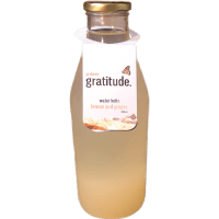 Organic Probiotic Lemon And Ginger Water Kefir (1l)