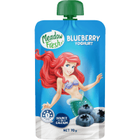 Blueberry Yoghurt Pouch (70g)