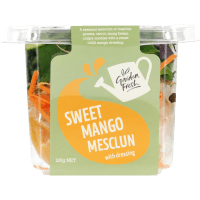 Sweet Mango Mesclun Salad With Dressing (120g)