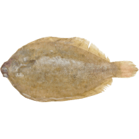 Lemon Sole Fillets (kg)