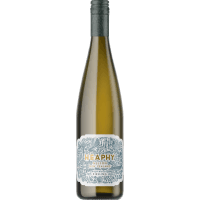 Sauvignon Blanc (750ml)