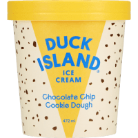 Chocolate Chip Cookie Dough Ice Cream (472ml)