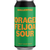 Foraged Feijoa Sour Fruit Beer (440ml)