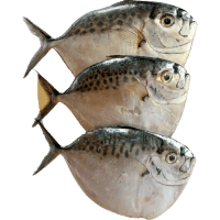 Moonfish (1kg)