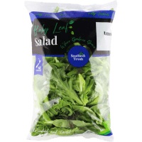 Infusion Lettuce Blend Salad (150g)