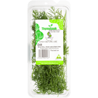 Dill Herbs (10g)