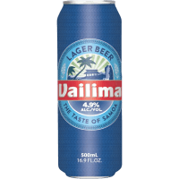 Lager Beer (500ml)
