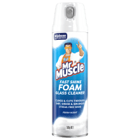 Fresh Scent Fast Shine Foam Glass Cleaner (500g)