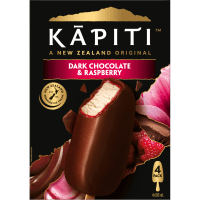 Dark Chocolate & Raspberry Ice Cream (4 x 100ml)